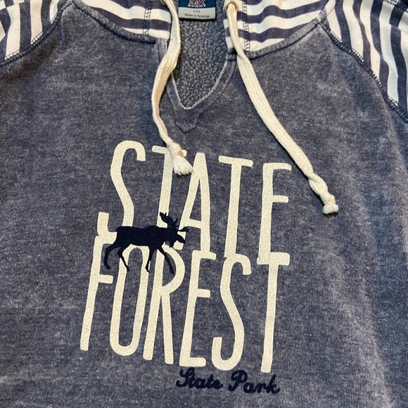 State Forest Hoodie - Picture 2 of 10